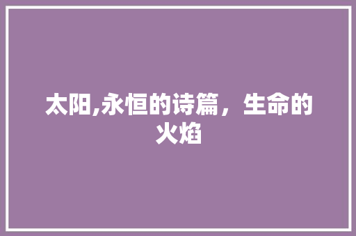 太阳,永恒的诗篇，生命的火焰 工作报告