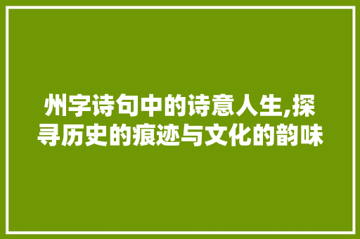 州字诗句中的诗意人生,探寻历史的痕迹与文化的韵味 生活类