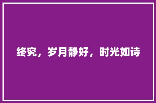 终究，岁月静好，时光如诗