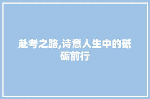 赴考之路,诗意人生中的砥砺前行