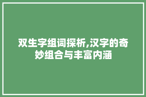 双生字组词探析,汉字的奇妙组合与丰富内涵