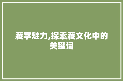 藏字魅力,探索藏文化中的关键词