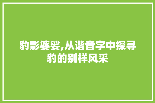 豹影婆娑,从谐音字中探寻豹的别样风采