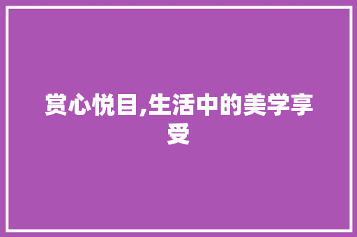 赏心悦目,生活中的美学享受