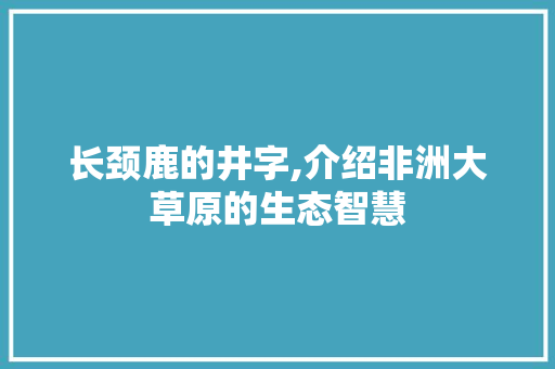 长颈鹿的井字,介绍非洲大草原的生态智慧