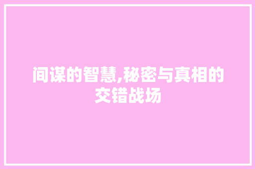 间谋的智慧,秘密与真相的交错战场
