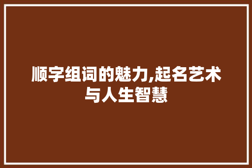 顺字组词的魅力,起名艺术与人生智慧