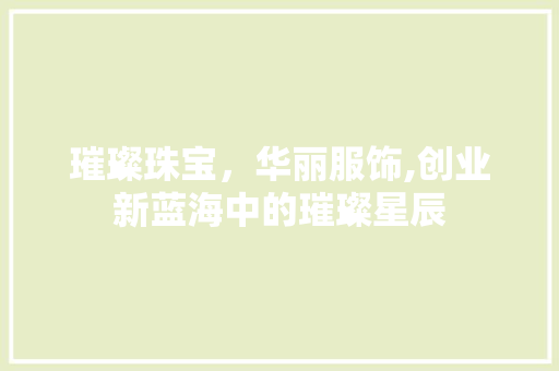 璀璨珠宝，华丽服饰,创业新蓝海中的璀璨星辰