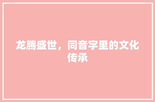 龙腾盛世，同音字里的文化传承 工作报告