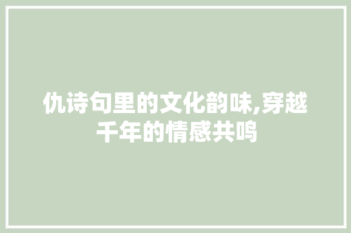 仇诗句里的文化韵味,穿越千年的情感共鸣