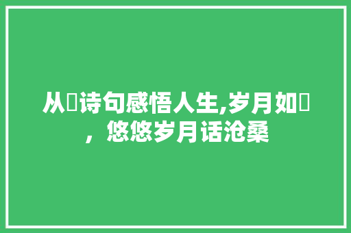 从椀诗句感悟人生,岁月如椀，悠悠岁月话沧桑