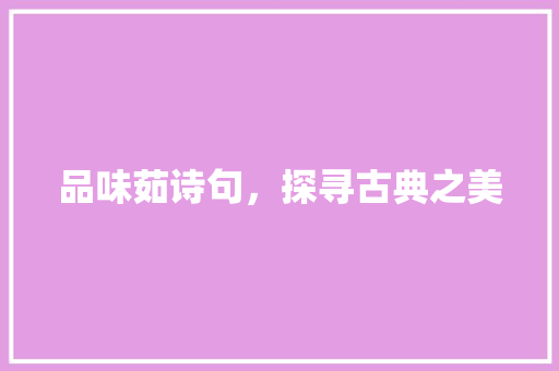 品味茹诗句，探寻古典之美