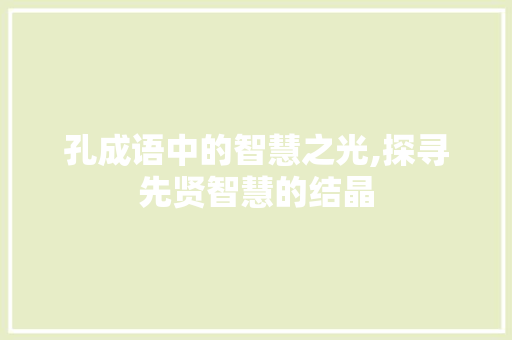 孔成语中的智慧之光,探寻先贤智慧的结晶
