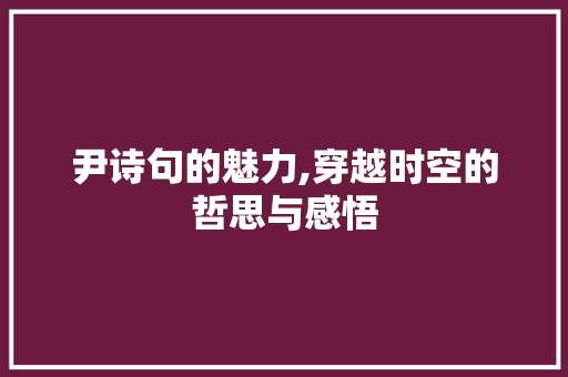 尹诗句的魅力,穿越时空的哲思与感悟 工作报告