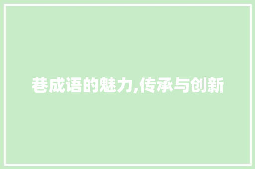 巷成语的魅力,传承与创新