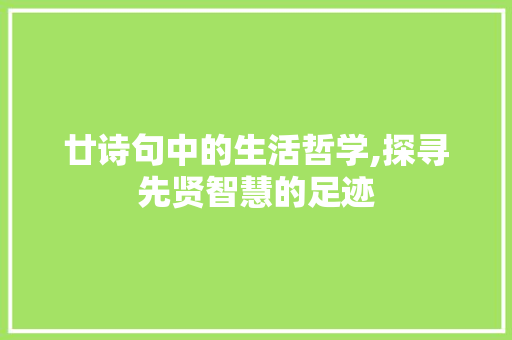 廿诗句中的生活哲学,探寻先贤智慧的足迹