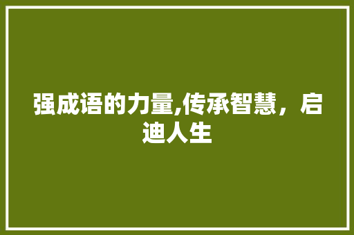 强成语的力量,传承智慧，启迪人生