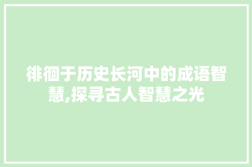 徘徊于历史长河中的成语智慧,探寻古人智慧之光