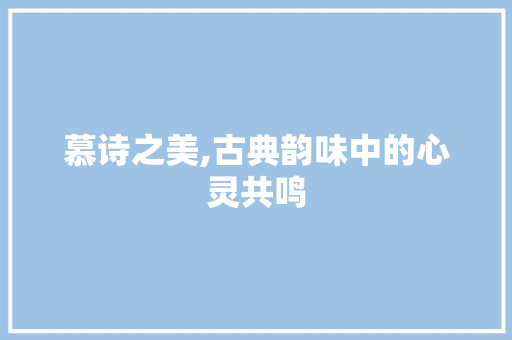 慕诗之美,古典韵味中的心灵共鸣