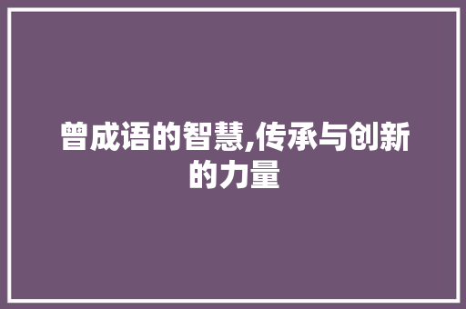 曾成语的智慧,传承与创新的力量