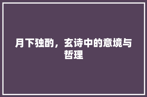 月下独酌，玄诗中的意境与哲理