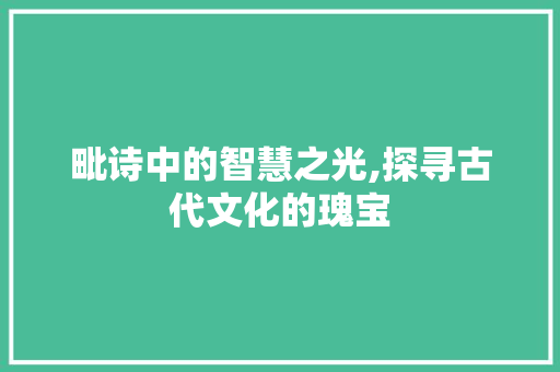 毗诗中的智慧之光,探寻古代文化的瑰宝