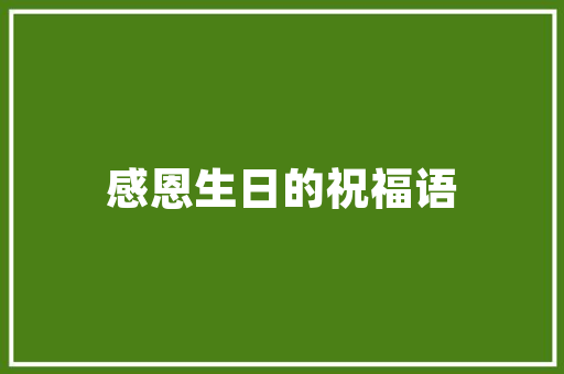 渣诗句中的诗意人生,从字里行间感悟生命的真谛 采访稿