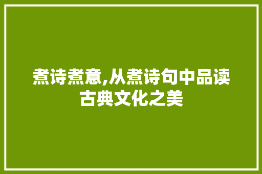 煮诗煮意,从煮诗句中品读古典文化之美
