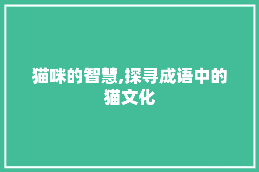 猫咪的智慧,探寻成语中的猫文化 采访稿