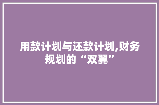 用款计划与还款计划,财务规划的“双翼”
