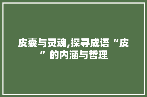 皮囊与灵魂,探寻成语“皮”的内涵与哲理