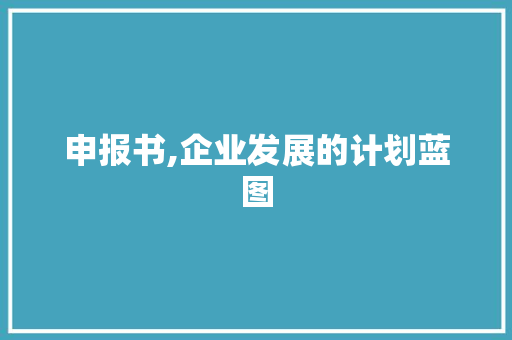申报书,企业发展的计划蓝图