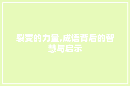 裂变的力量,成语背后的智慧与启示