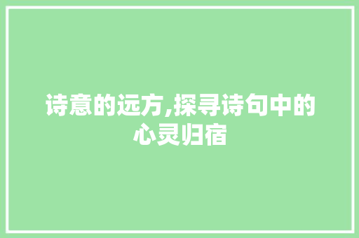 诗意的远方,探寻诗句中的心灵归宿