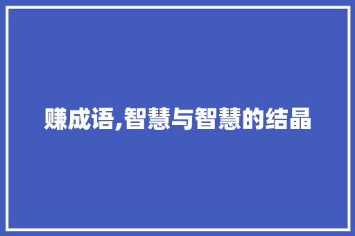 赚成语,智慧与智慧的结晶