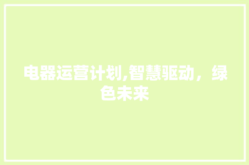 电器运营计划,智慧驱动，绿色未来