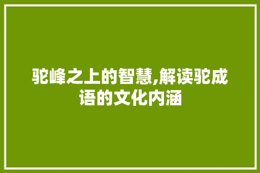 驼峰之上的智慧,解读驼成语的文化内涵 生活类