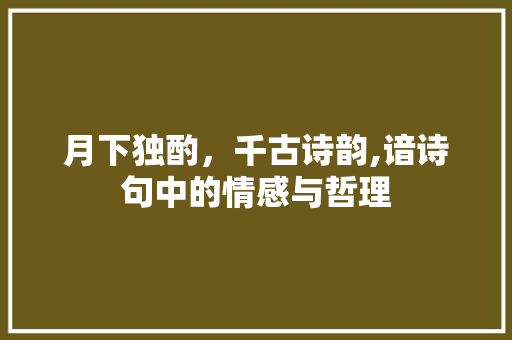 月下独酌，千古诗韵,谙诗句中的情感与哲理 商业文稿