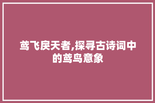 鸢飞戾天者,探寻古诗词中的鸢鸟意象