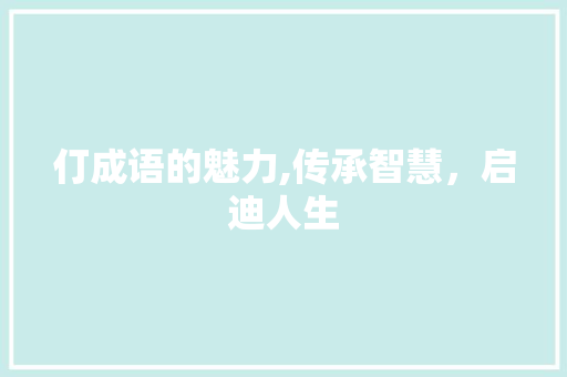 仃成语的魅力,传承智慧，启迪人生