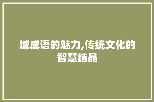 域成语的魅力,传统文化的智慧结晶