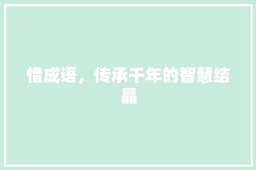 惜成语，传承千年的智慧结晶
