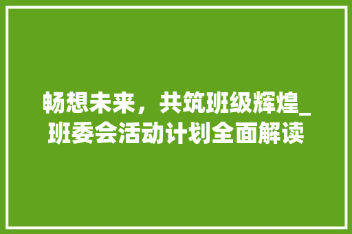 畅想未来，共筑班级辉煌_班委会活动计划全面解读 工作总结