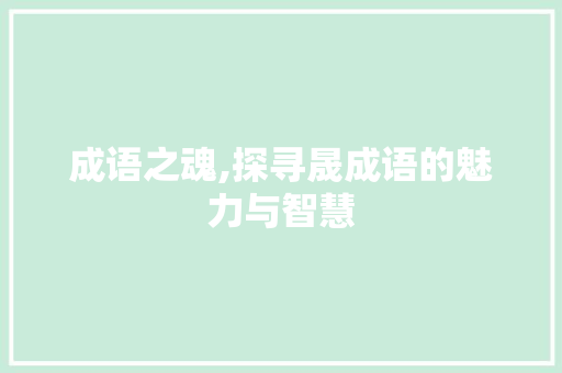 成语之魂,探寻晟成语的魅力与智慧 特写稿