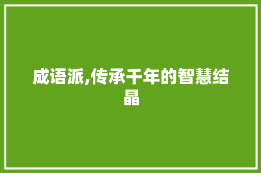 成语派,传承千年的智慧结晶 工作总结