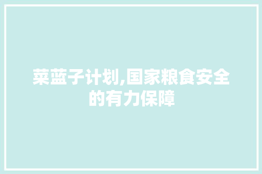 菜蓝子计划,国家粮食安全的有力保障