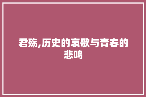 君殇,历史的哀歌与青春的悲鸣