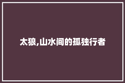 太狼,山水间的孤独行者
