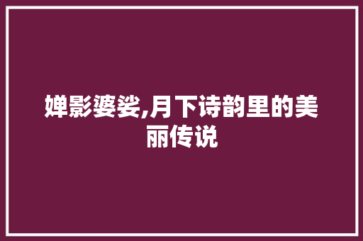 婵影婆娑,月下诗韵里的美丽传说