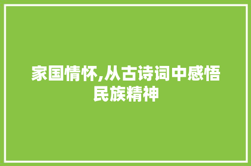 家国情怀,从古诗词中感悟民族精神